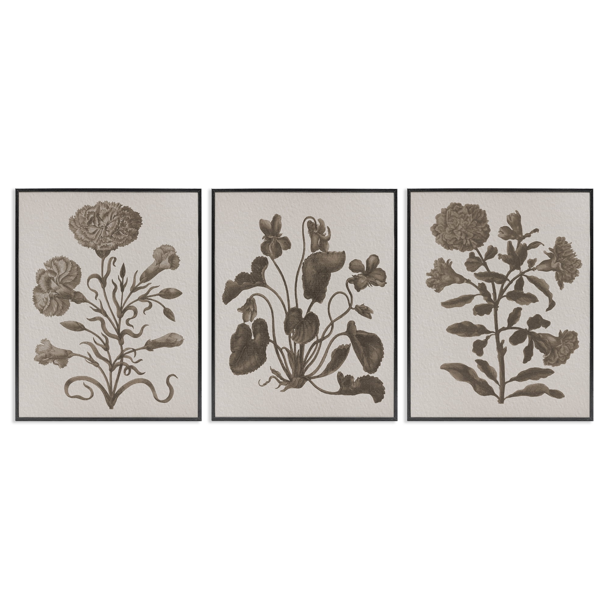 Stupell Industries Vintage Country Botanicals Plants & Flowers Painting Black Framed Art Print Wall Art, 24 x 30, Set of 3
