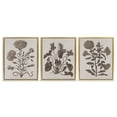 thumbnail image 1 of Stupell Industries Vintage Country Botanicals Plants & Flowers Painting Gold Floater Framed Canvas Art Print Wall Art, 25 x 31, Set of 3, 1 of 10