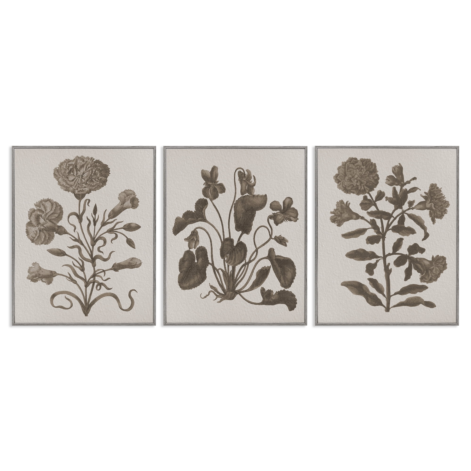 Stupell Industries Vintage Country Botanicals Plants & Flowers Painting Gray Framed Art Print Wall Art, 24 x 30, Set of 3