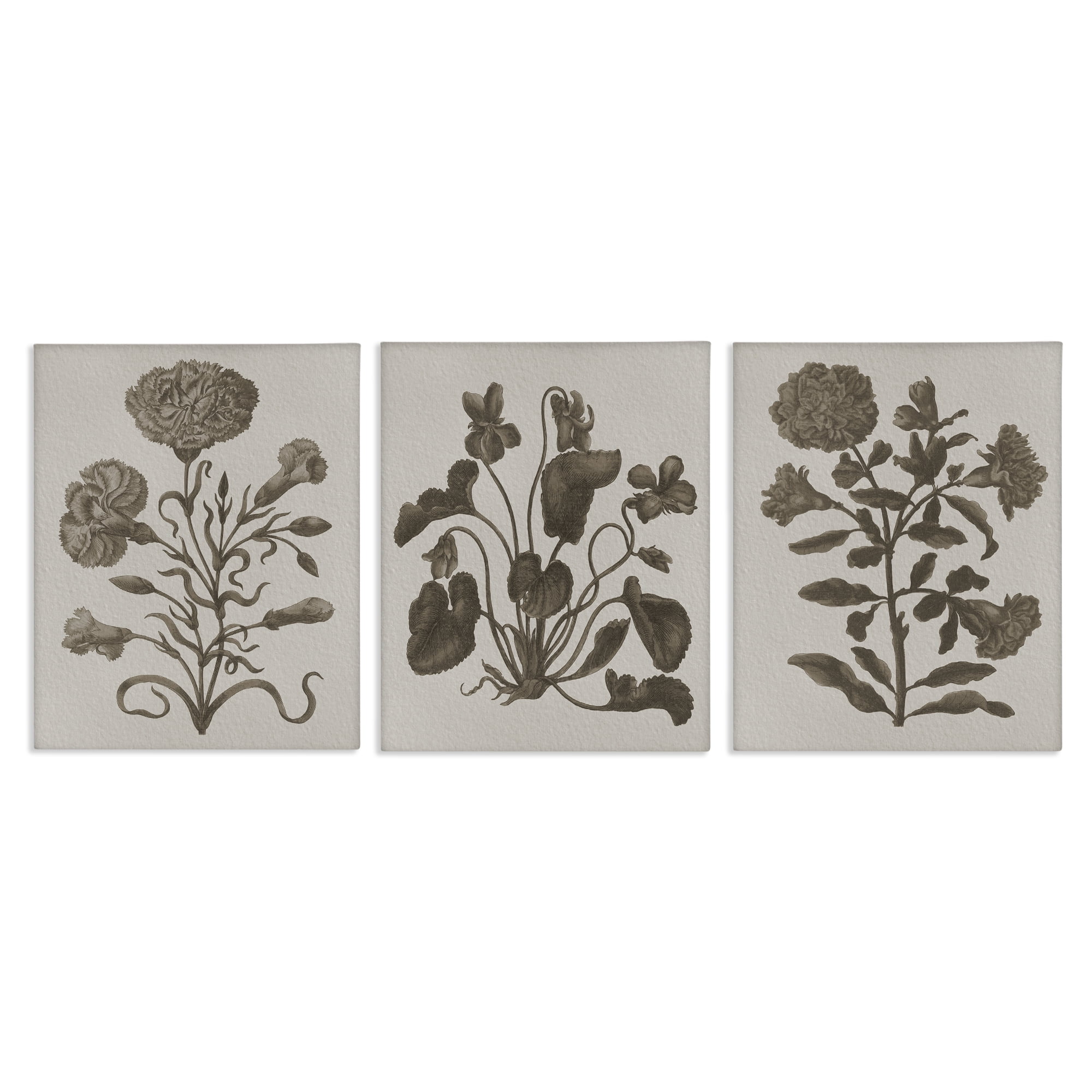 Stupell Industries Vintage Country Botanicals Plants & Flowers Painting Wrapped Canvas Art Print Wall Art, 11 x 14, Set of 3