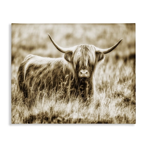 Stupell Industries Traditional Vintage Cow In Pasture Canvas Art, 20 x 16, by Villager Jim