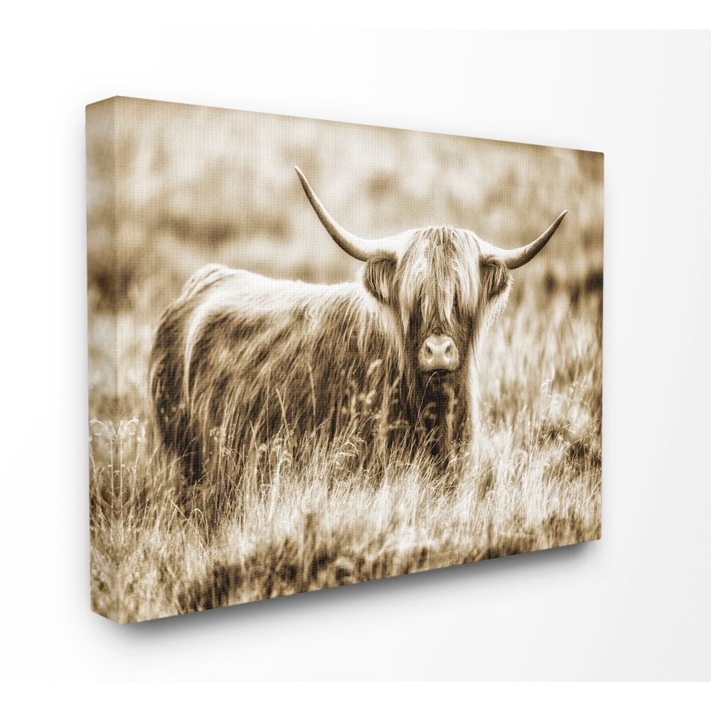 Vintage Sepia Highland Cow Framed Canvas Print, 16 x 20