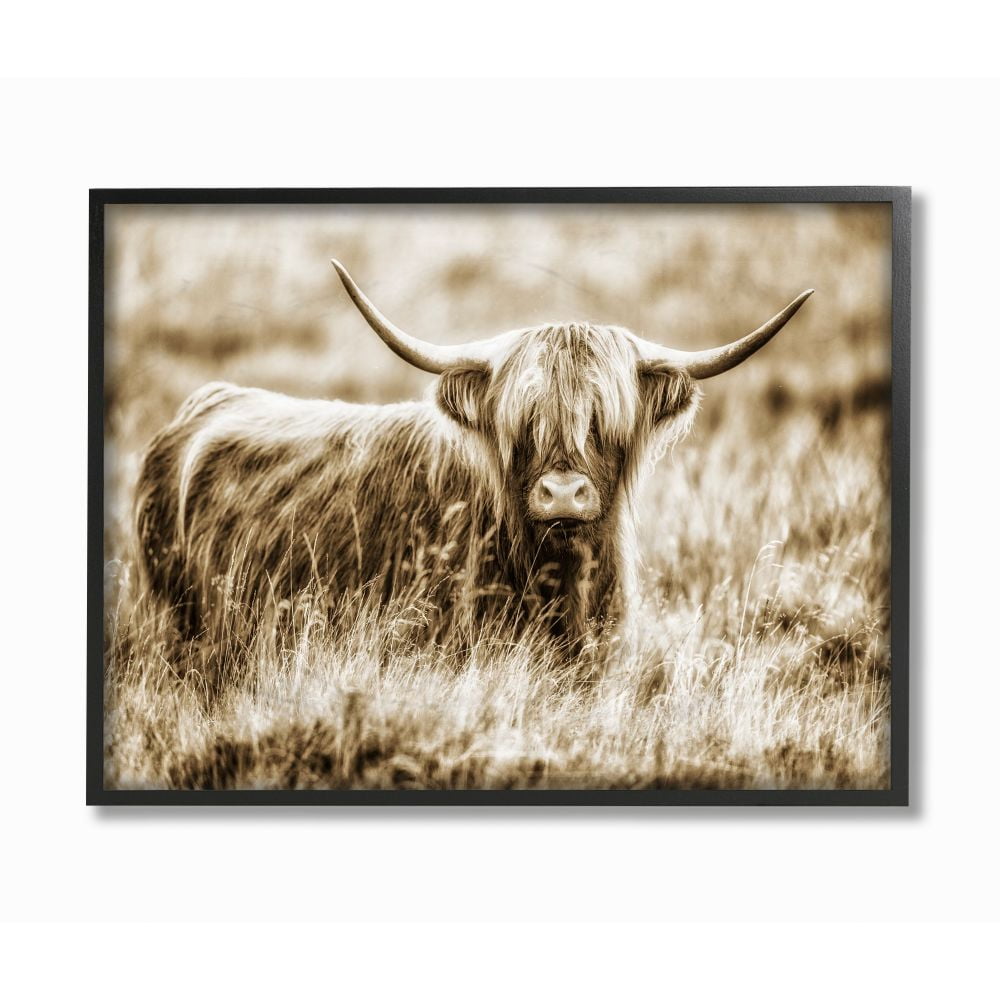 Stupell Industries Vintage Cow In Pasture Animal Photo Framed Giclee Texturized Art by Villager Jim
