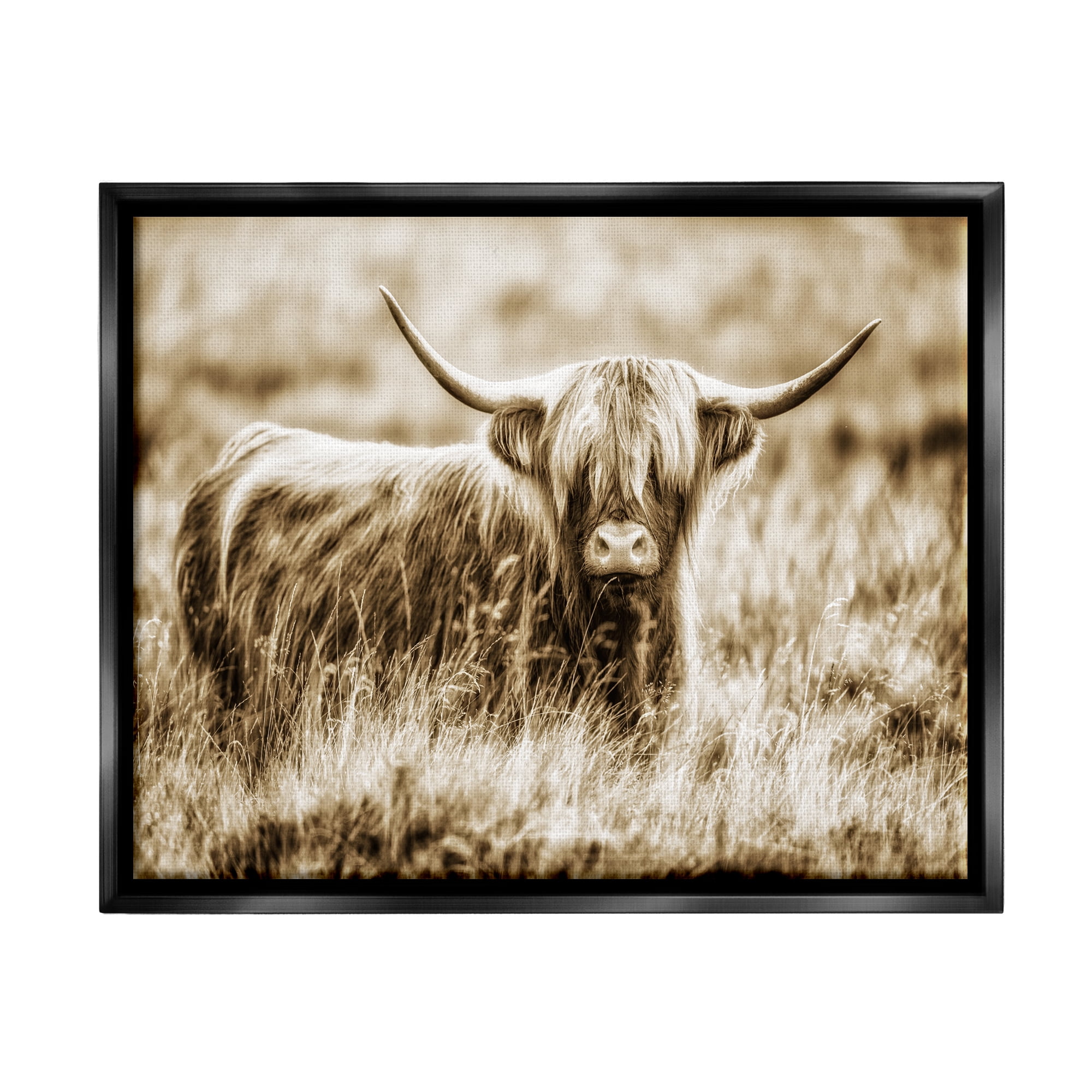 Stupell Industries Vintage Cow In Pasture Animal Photo Jet Black Framed Floating Canvas Wall Art, 24x30, by Villager Jim