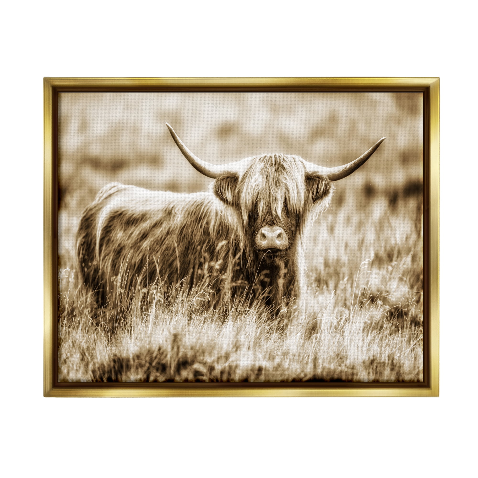 Stupell Industries Vintage Cow In Pasture Animal Photo Metallic Gold Framed Floating Canvas Wall Art, 24x30, by Villager Jim