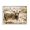 thumbnail image 1 of Stupell Industries Vintage Cow In Pasture Animal Photo Photography Framed Art Print Wall Art, 14x11, By Villager Jim, 1 of 7