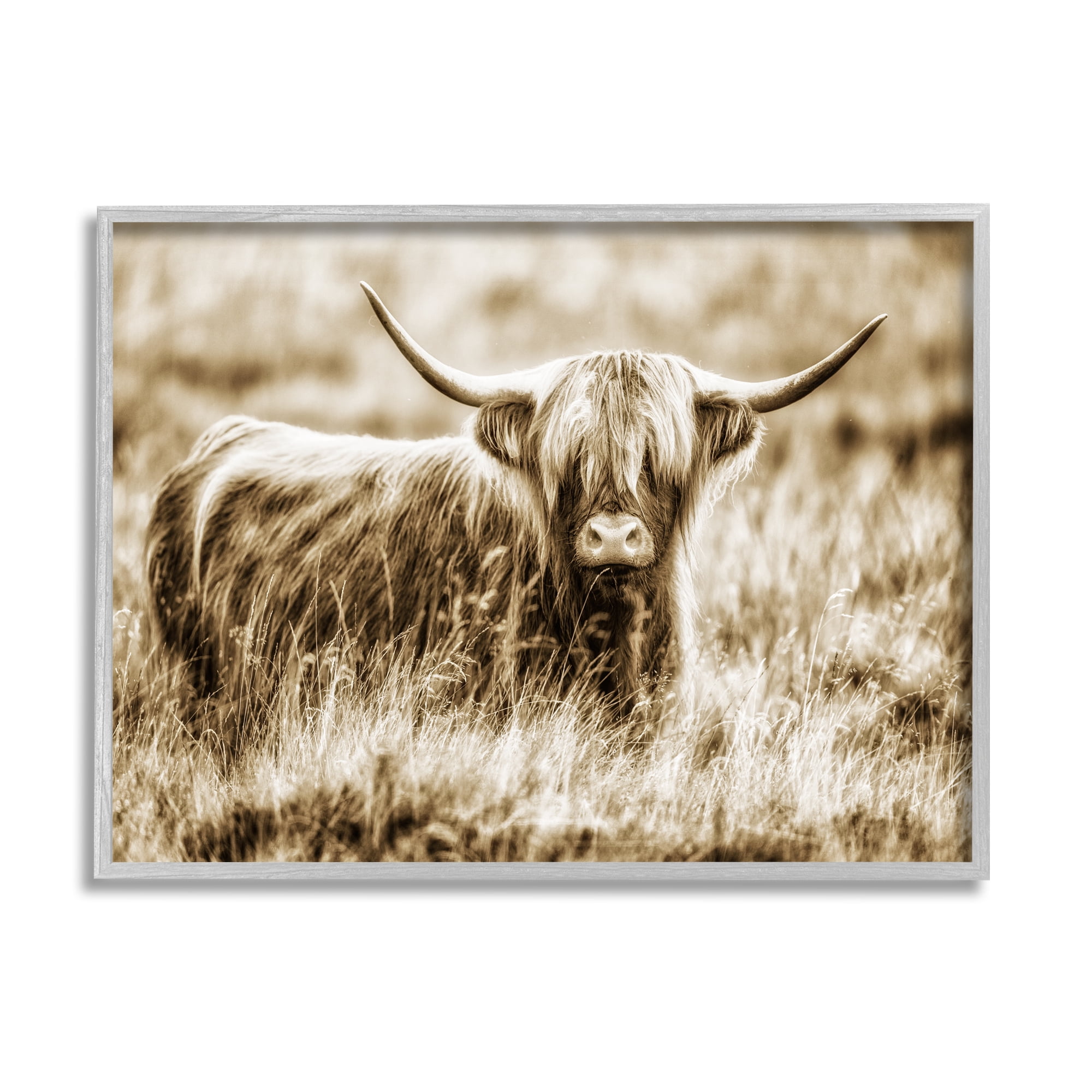 Stupell Industries Vintage Cow In Pasture Animal Photo Photography Framed Art Print Wall Art, 14x11, By Villager Jim