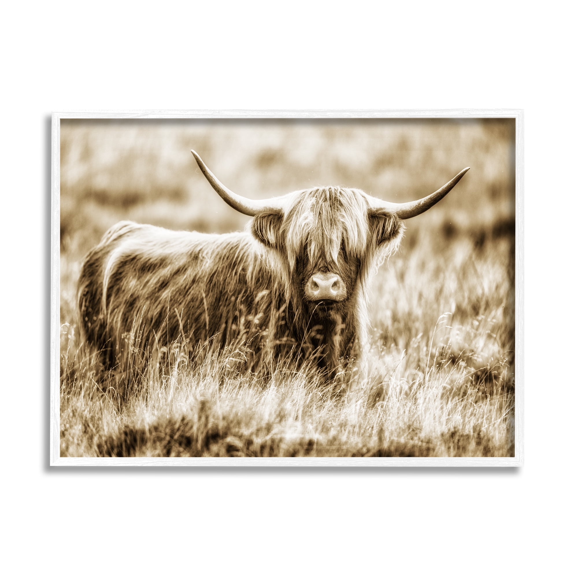Stupell Industries Vintage Cow In Pasture Animal Photo Photography Framed Art Print Wall Art, 20x16, By Villager Jim