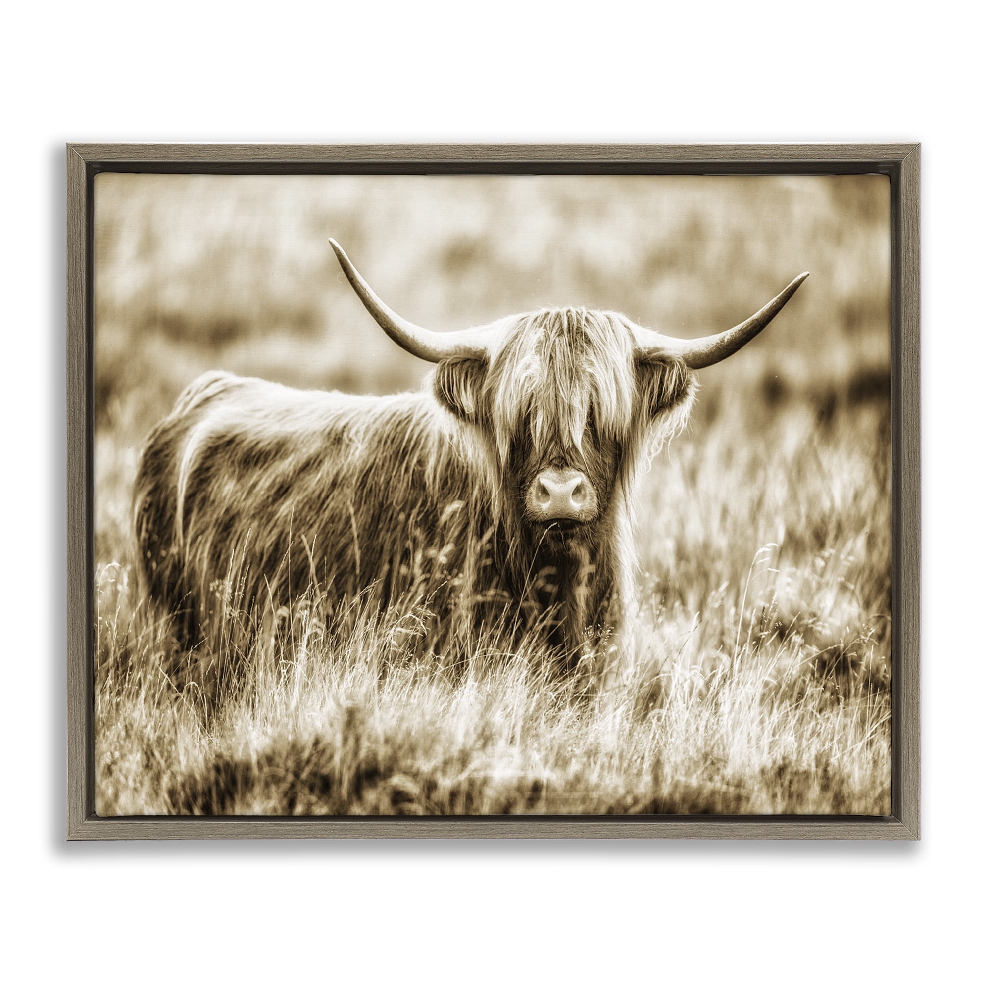 Stupell Industries Vintage Cow In Pasture Animals & Insects Photography Brown Floater Framed Canvas Art Print Wall Art, 21 x 17