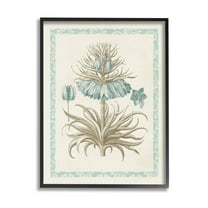 Stupell Industries Vintage Detailed Flower Study Graphic Art Black Framed Art Print Wall Art, Design by Vision Studio