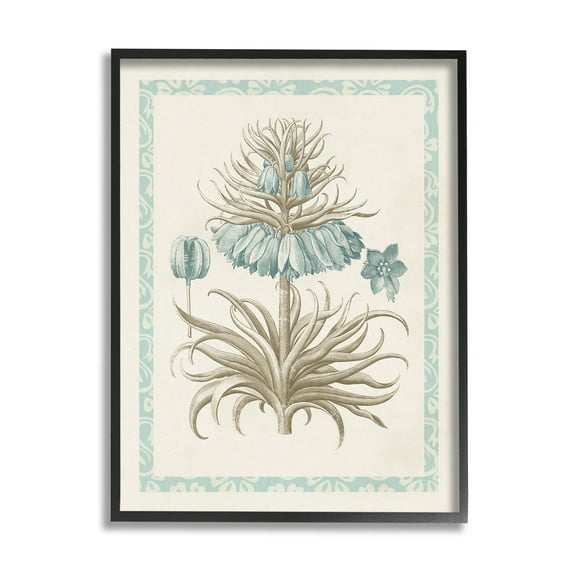 Stupell Industries Vintage Detailed Flower Study Graphic Art Black Framed Art Print Wall Art, Design by Vision Studio