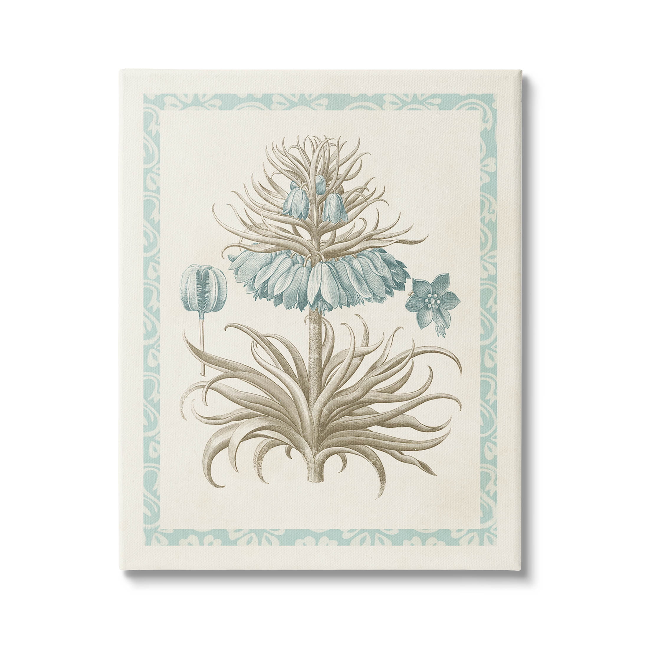 Stupell Industries Vintage Detailed Flower Study Graphic Art Gallery Wrapped Canvas Print Wall Art, Design by Vision Studio