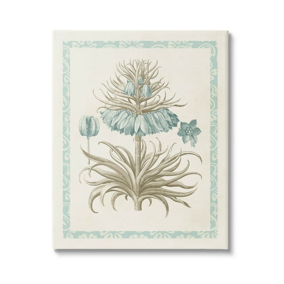 Stupell Industries Vintage Detailed Flower Study Graphic Art Gallery Wrapped Canvas Print Wall Art, Design by Vision Studio