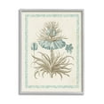 thumbnail image 1 of Stupell Industries Vintage Detailed Flower Study Graphic Art Gray Framed Art Print Wall Art, Design by Vision Studio, 1 of 7