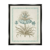 Stupell Industries Vintage Detailed Flower Study Graphic Art Jet Black Floating Framed Canvas Print Wall Art, Design by Vision Studio