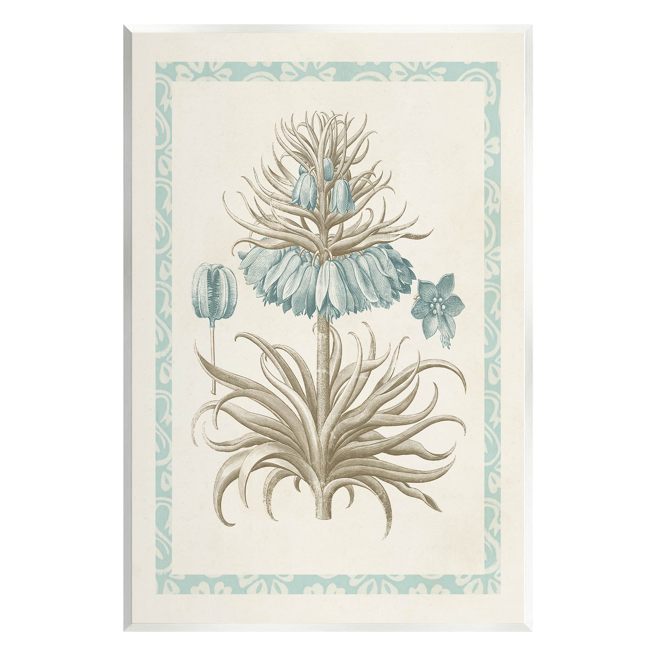 Stupell Industries Vintage Detailed Flower Study Graphic Art Unframed Art Print Wall Art, Design by Vision Studio