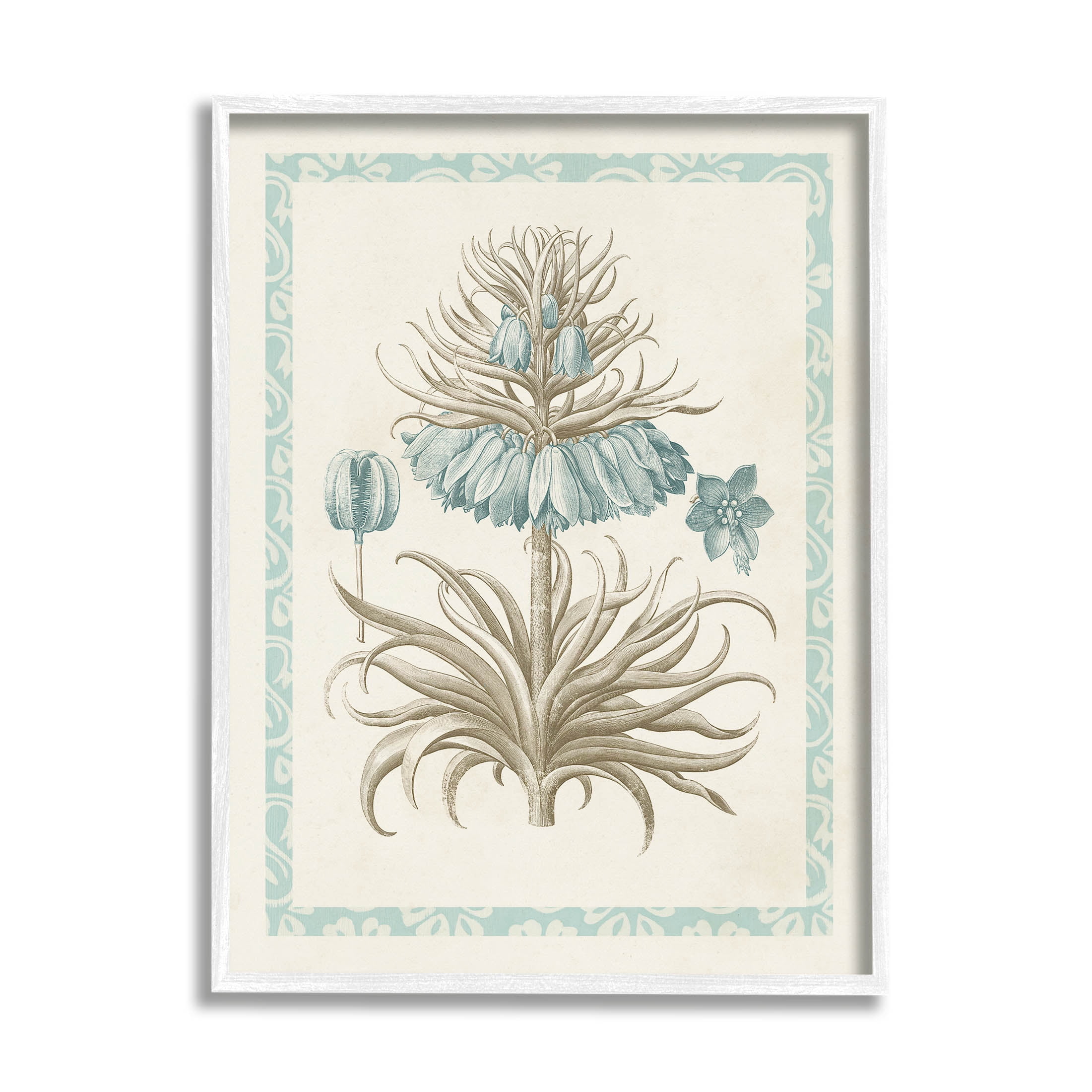 Stupell Industries Vintage Detailed Flower Study Graphic Art White Framed Art Print Wall Art, Design by Vision Studio
