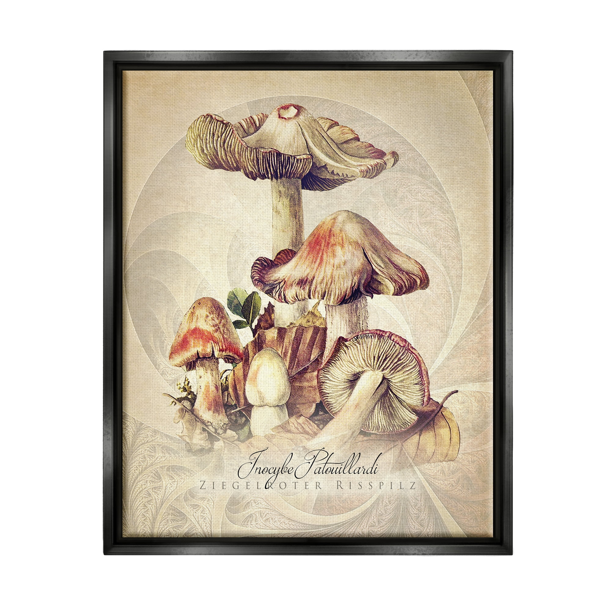 Stupell Industries Vintage Detailed Mushroom Nature Botanical & Floral Painting Black Floater Framed Art Print Wall Art
