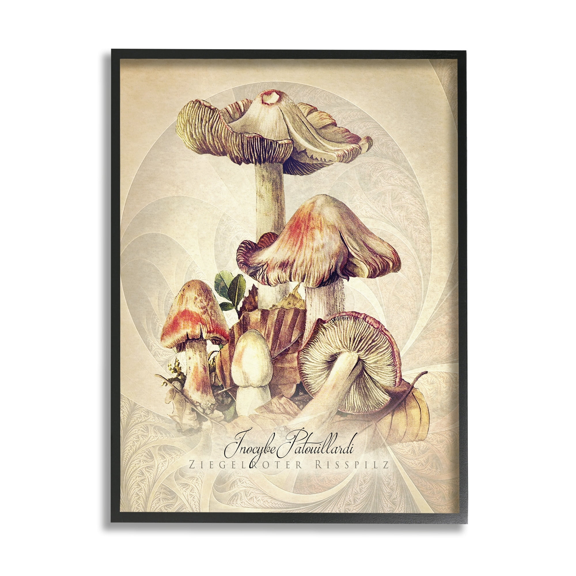 Stupell Industries Vintage Detailed Mushroom Nature Botanical & Floral Painting Black Framed Art Print Wall Art