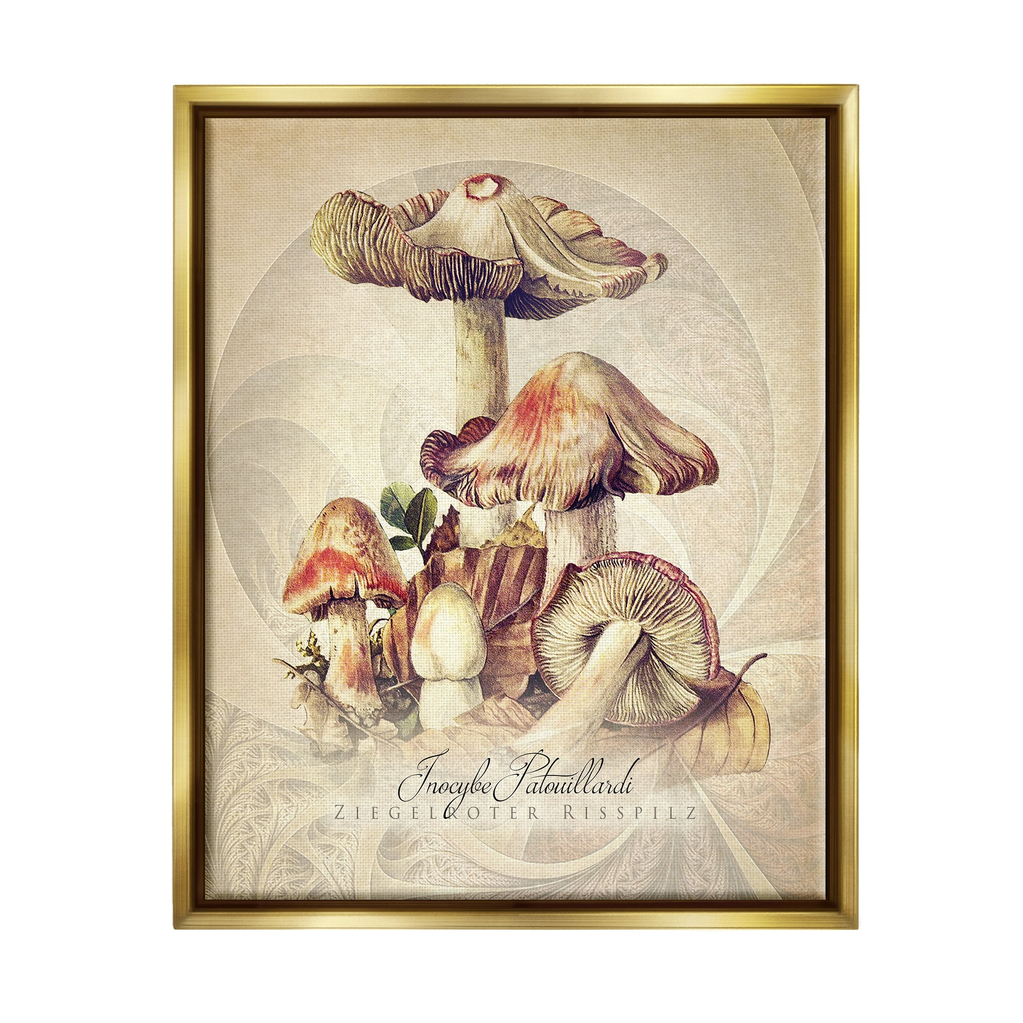 Stupell Industries Vintage Detailed Mushroom Nature Botanical & Floral Painting Gold Floater Framed Art Print Wall Art