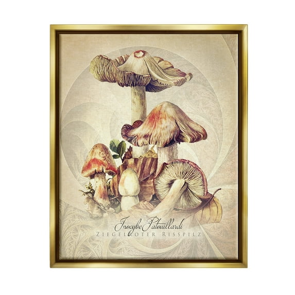 Stupell Industries Vintage Detailed Mushroom Nature Botanical & Floral Painting Gold Floater Framed Art Print Wall Art