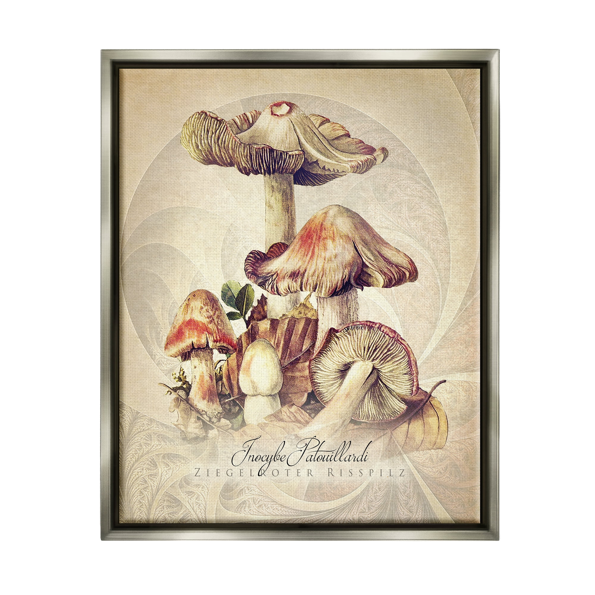 Stupell Industries Vintage Detailed Mushroom Nature Botanical & Floral Painting Gray Floater Framed Art Print Wall Art
