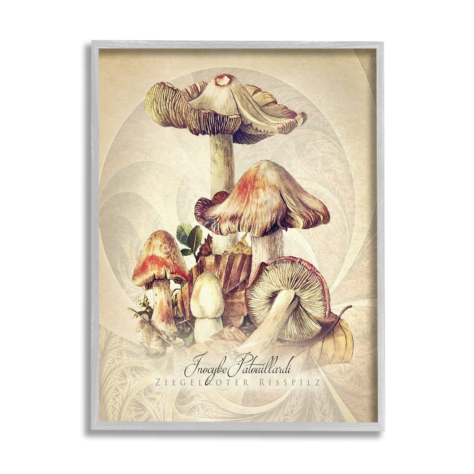 Stupell Industries Vintage Detailed Mushroom Nature Botanical & Floral Painting Gray Framed Art Print Wall Art