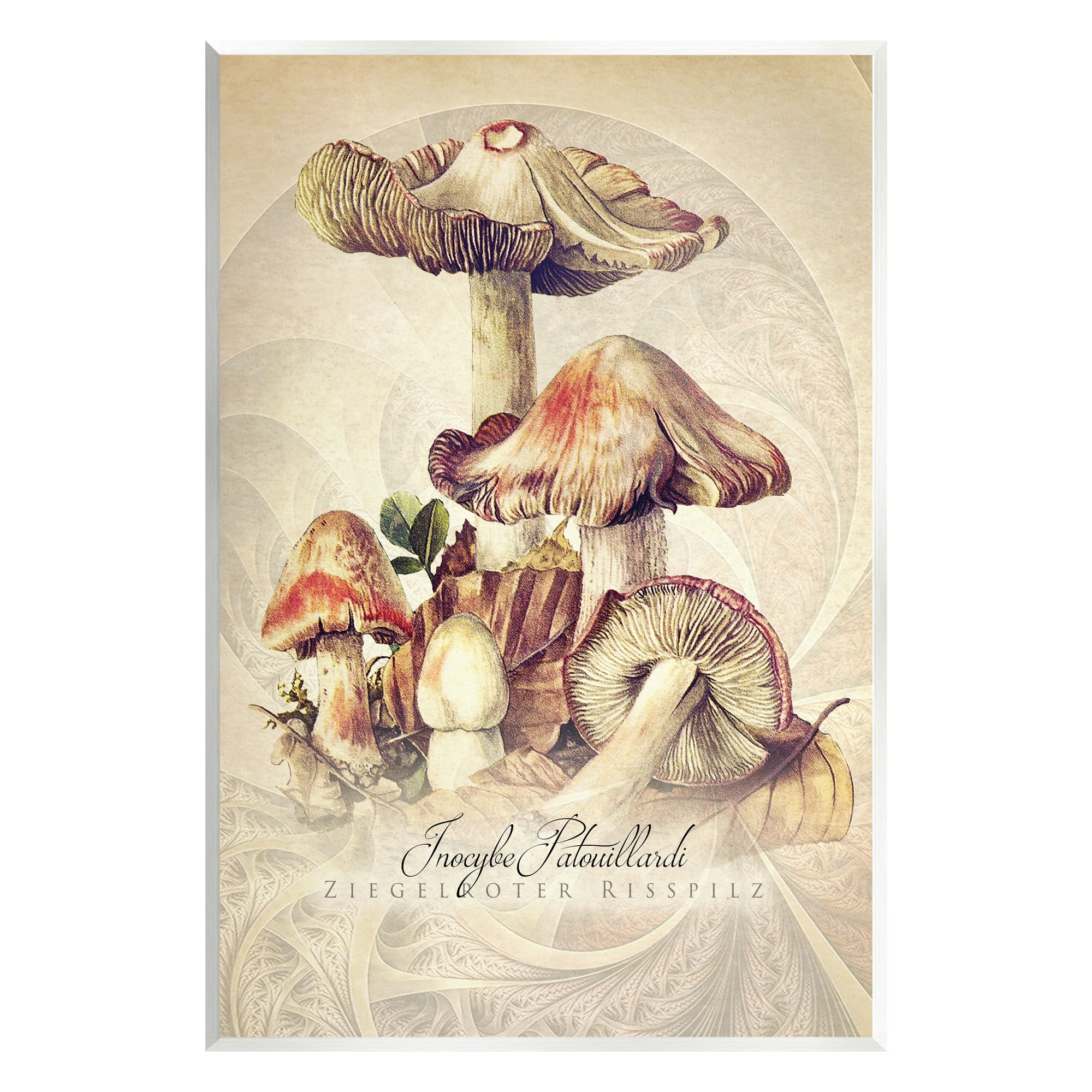 Stupell Industries Vintage Detailed Mushroom Nature Botanical & Floral Painting Unframed Art Print Wall Art