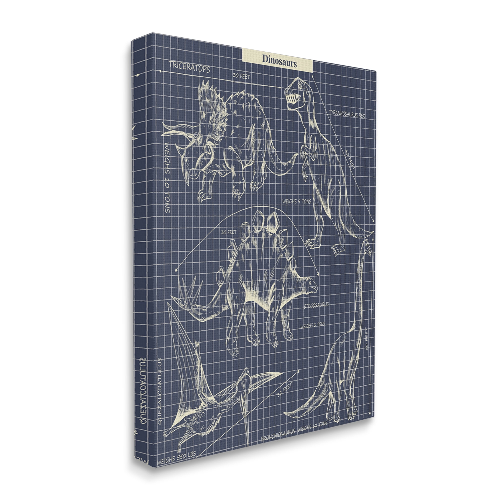 Stupell Industries Vintage Dinosaur Blueprints Dino Fact Graph Canvas Wall Art by Sangita Bachelet