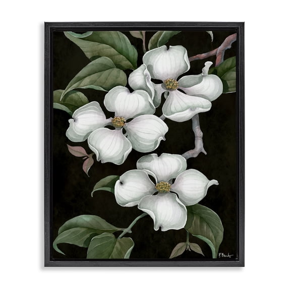 Stupell Industries Vintage Dogwood Trio Black Framed Floater Canvas Wall Art design by Paul Brent, 31 x 25