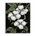 thumbnail image 1 of Stupell Industries French Country Vintage Dogwood Trio Gray Framed Giclee Art, 24 x 30, by Paul Brent, 1 of 7