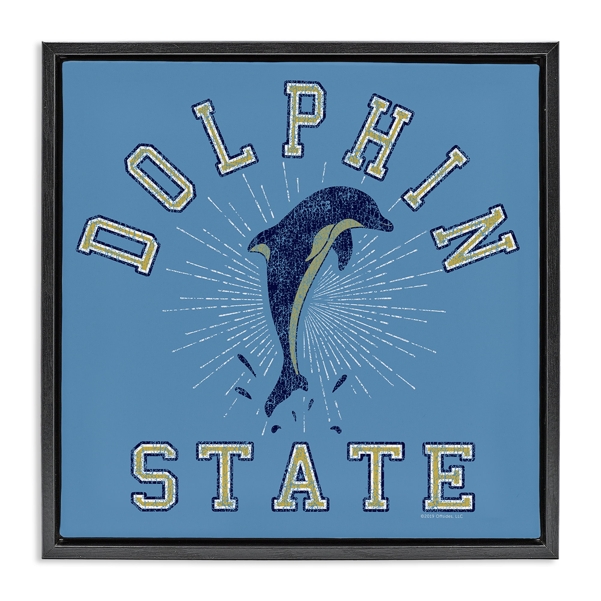 Stupell Industries Vintage Dolphin State Novelty & Humor Painting Black Floater Framed Canvas Art Print Wall Art, 25 x 25