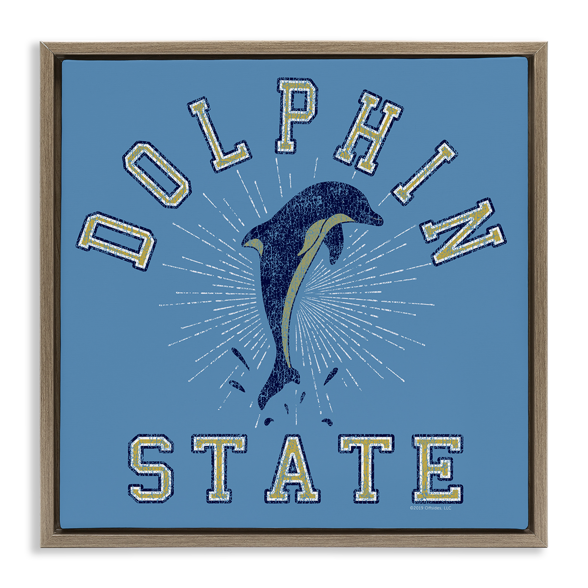 Stupell Industries Vintage Dolphin State Novelty & Humor Painting Brown Floater Framed Canvas Art Print Wall Art, 18 x 18