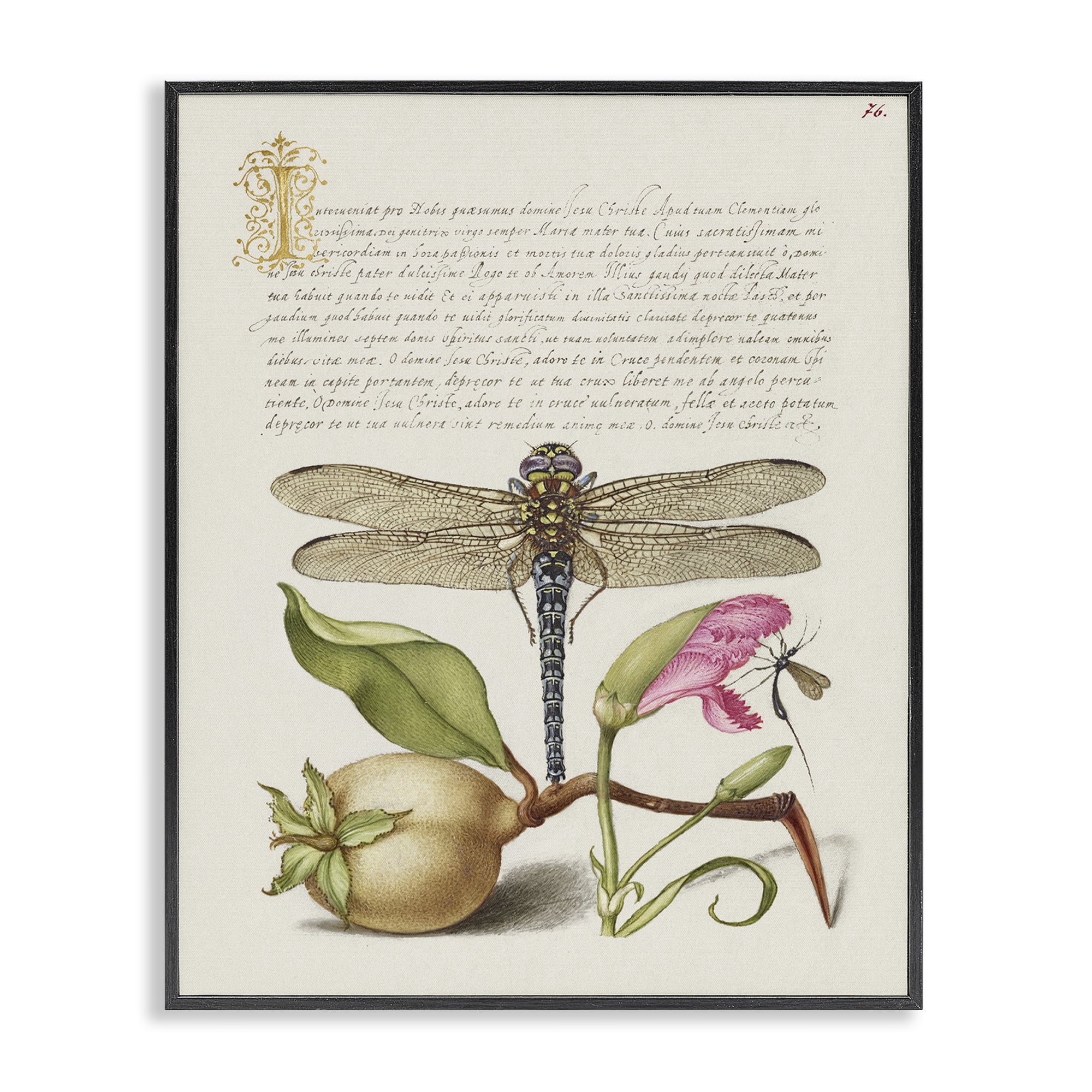Stupell Industries Vintage Dragonfly & Plants Text & Numbers Painting Black Framed Art Print Wall Art, 24 x 30