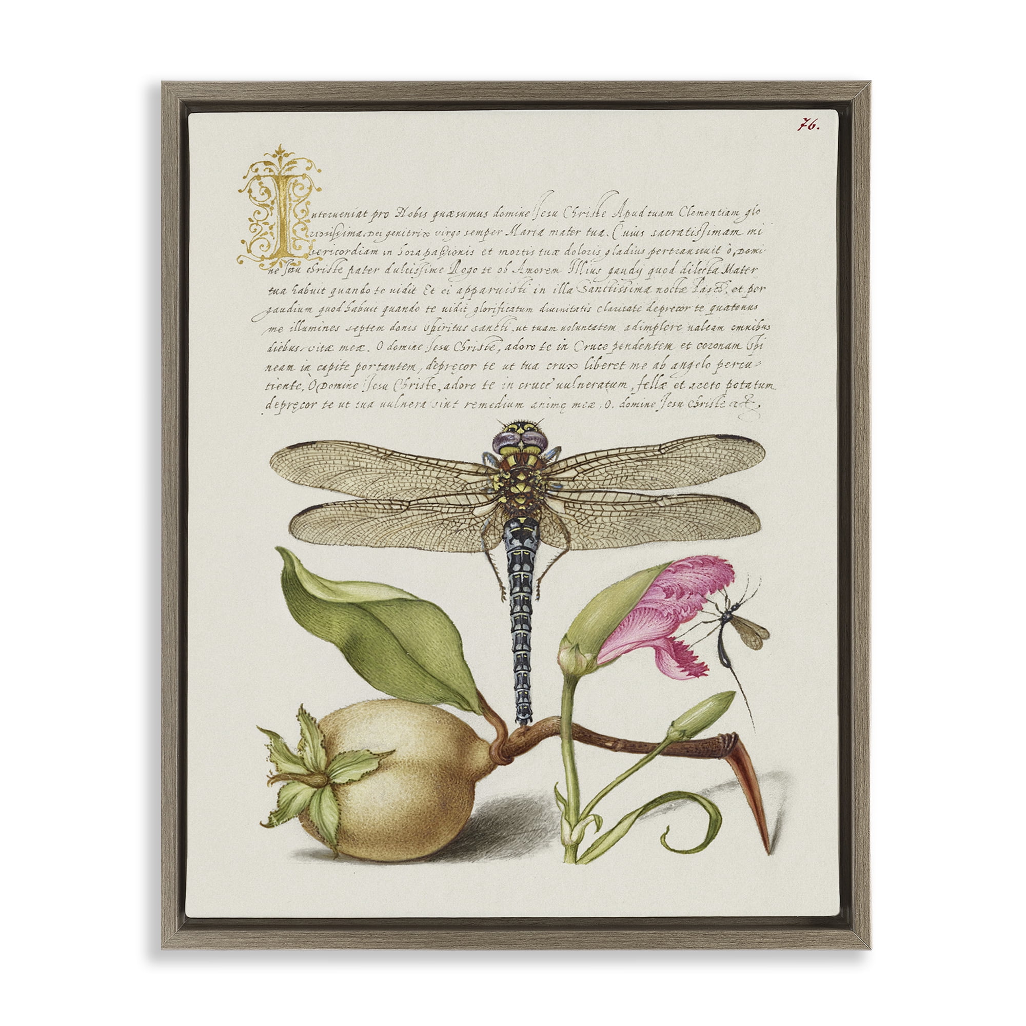 Stupell Industries Vintage Dragonfly & Plants Text & Numbers Painting Brown Floater Framed Canvas Art Print Wall Art, 25 x 31