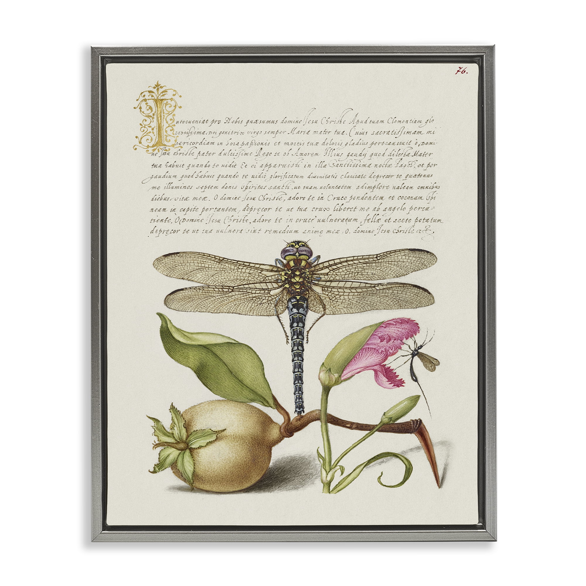 Stupell Industries Vintage Dragonfly & Plants Text & Numbers Painting Gray Floater Framed Canvas Art Print Wall Art, 25 x 31