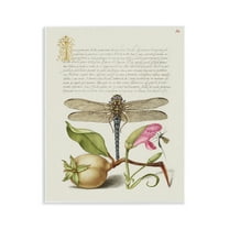 Stupell Industries Vintage Dragonfly & Plants Text & Numbers Painting Unframed Art Print Wall Art, 11 x 14