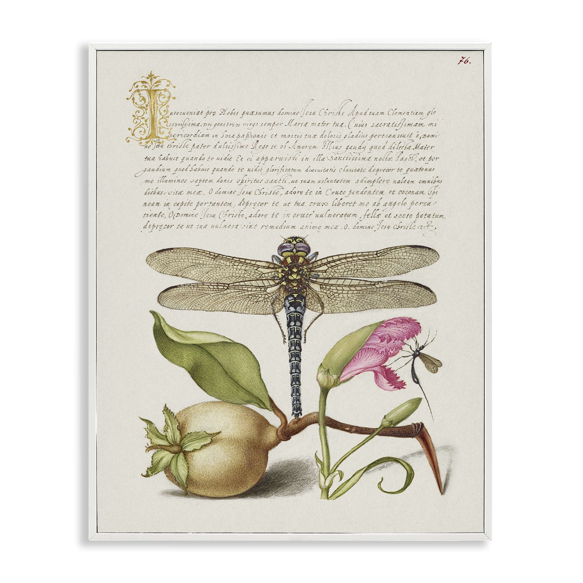 Stupell Industries Vintage Dragonfly & Plants Text & Numbers Painting White Framed Art Print Wall Art, 24 x 30
