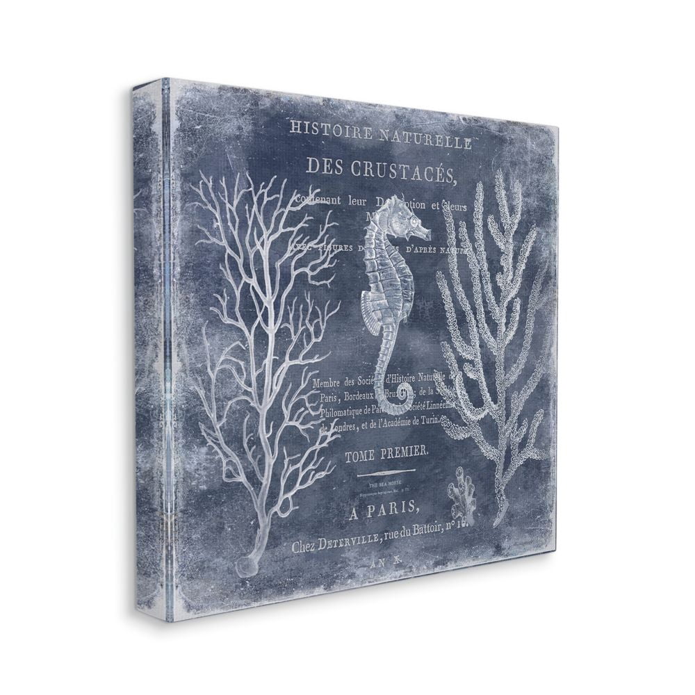 Stupell Industries Vintage European Seahorse Design Canvas Wall Art by Deborah Devellier