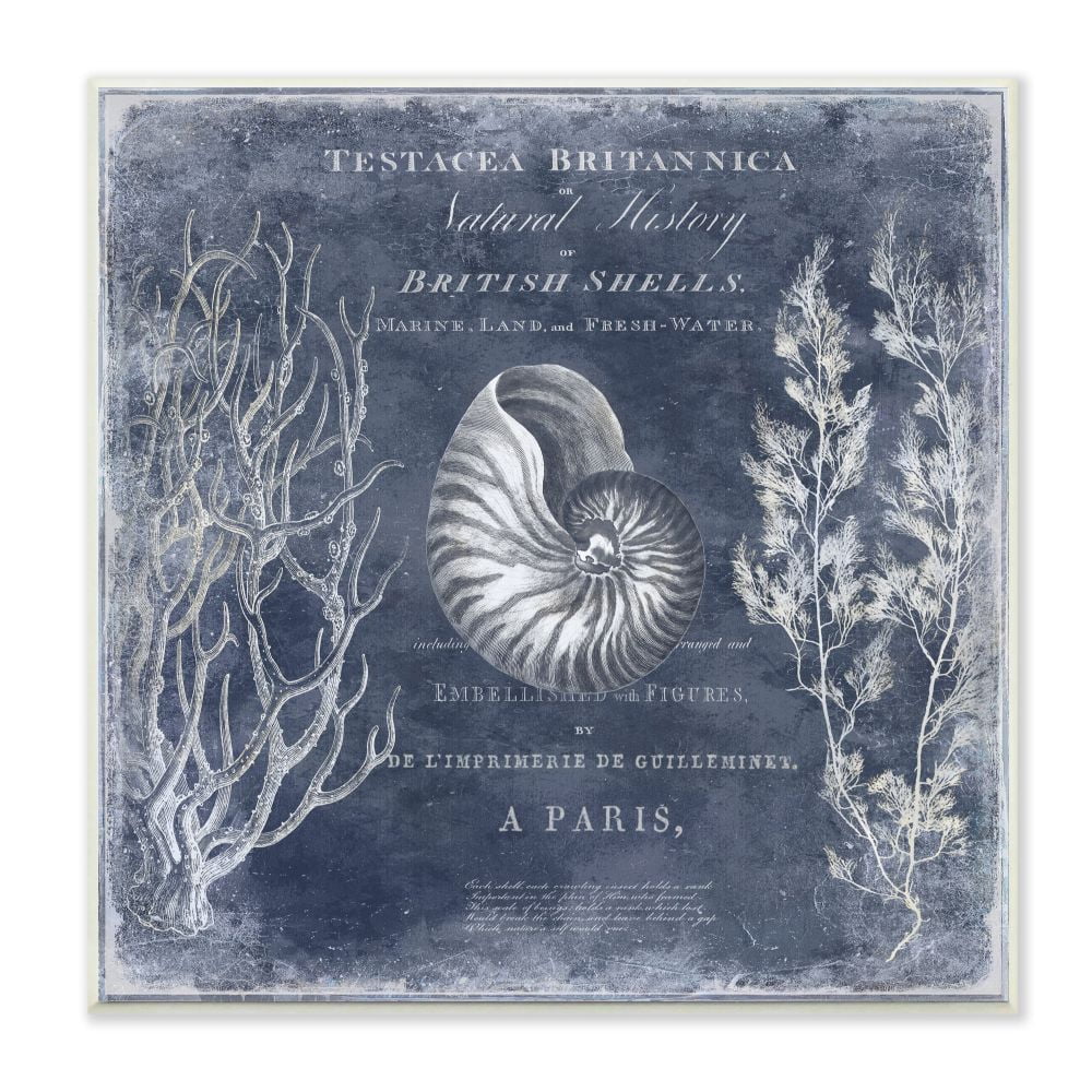 Stupell Industries Vintage European Shells Design Wall Plaque by Deborah Devellier