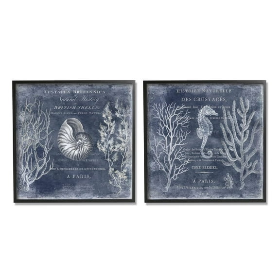 Stupell Industries Vintage European Shells and Seahorse Design Graphic Art Black Framed Art Print Wall Art Set of 2, 12x12, by Deborah Devellier