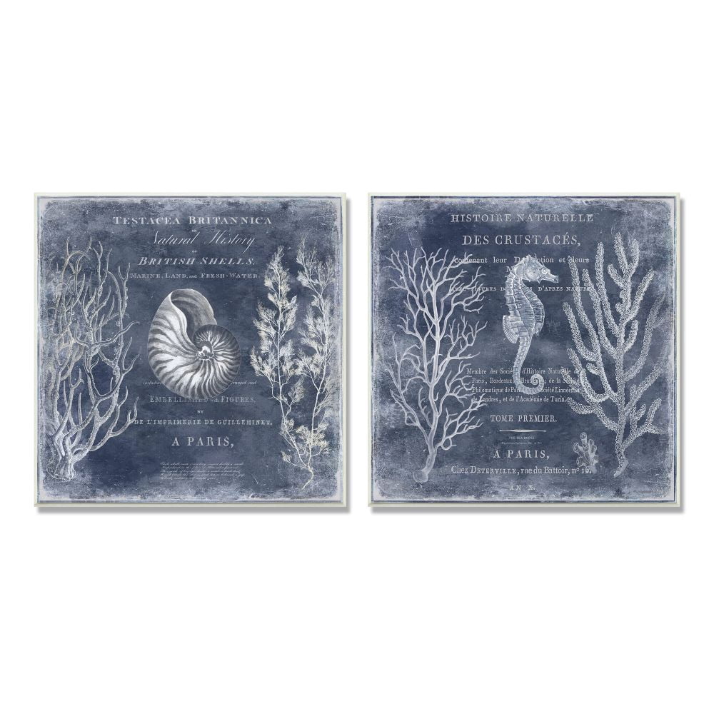 Stupell Industries Vintage European Shells and Seahorse Design Wall Plaque by Deborah Devellier