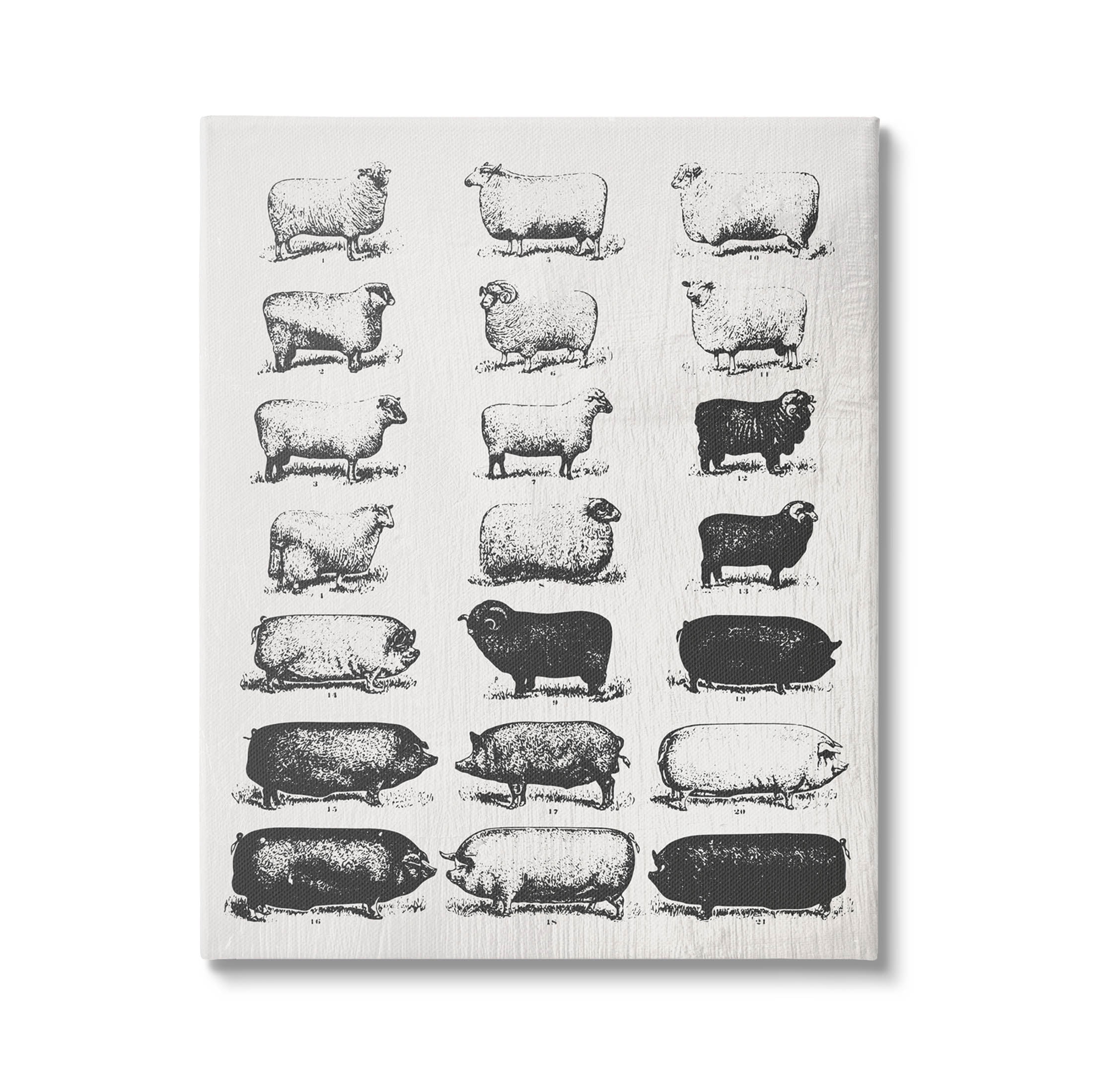 Stupell Industries Vintage Farm Animal Chart Graphic Art Gallery Wrapped Canvas Print Wall Art, Design by Daphne Polselli