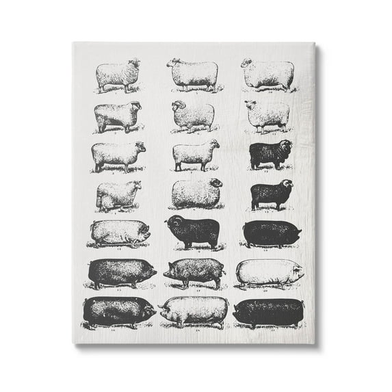 Stupell Industries Vintage Farm Animal Chart Graphic Art Gallery Wrapped Canvas Print Wall Art, Design by Daphne Polselli