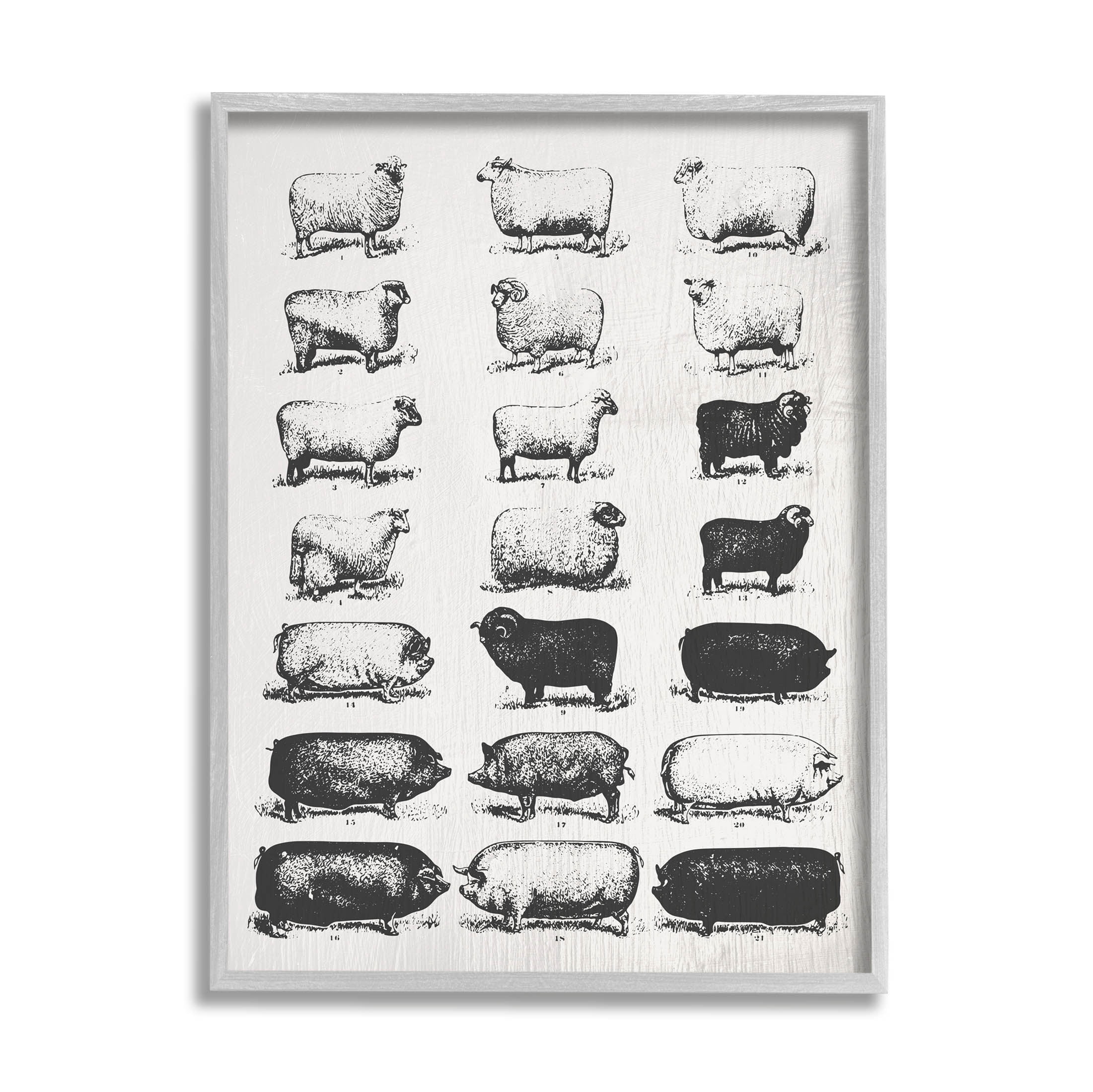 Stupell Industries Vintage Farm Animal Chart Graphic Art Gray Framed Art Print Wall Art, Design by Daphne Polselli