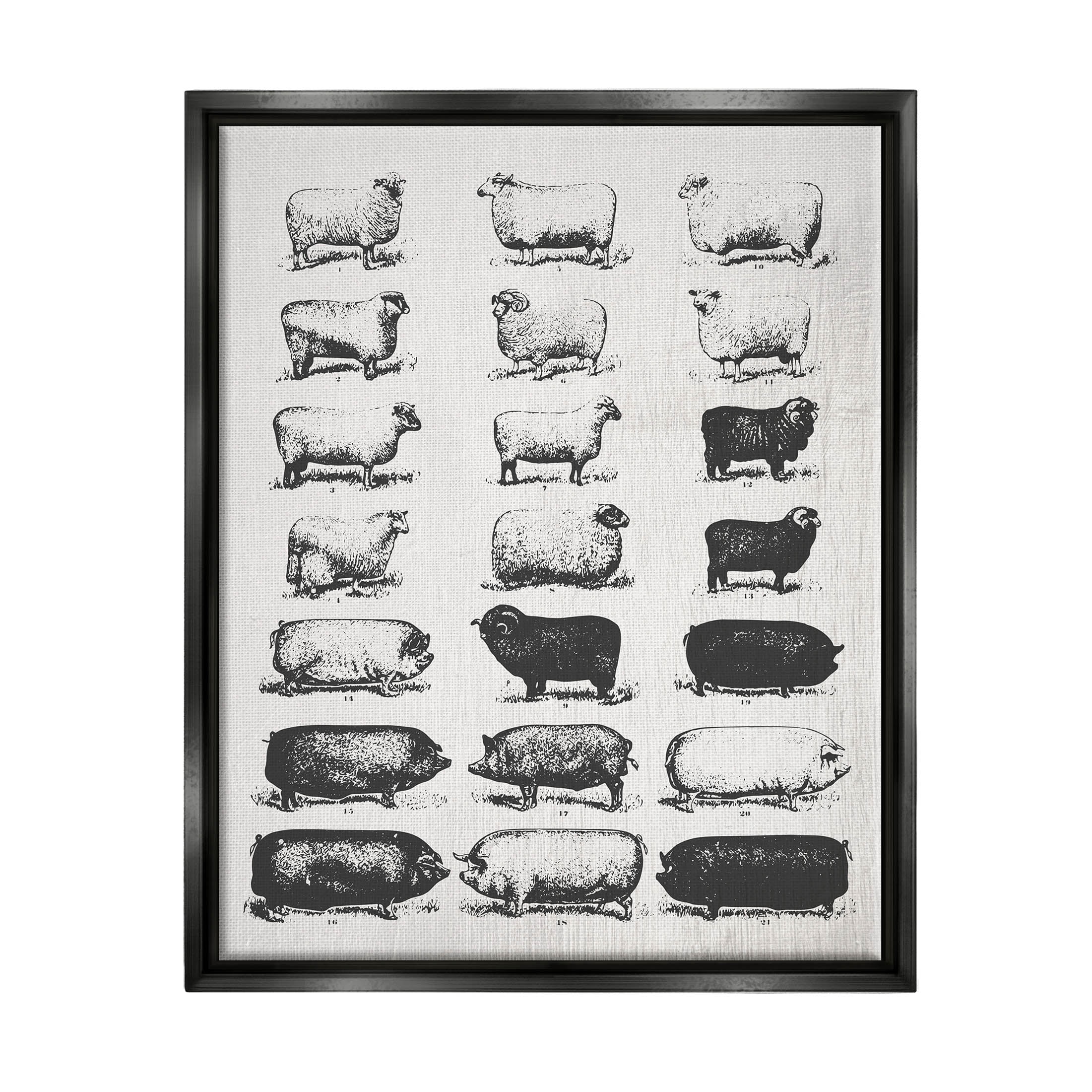 Stupell Industries Vintage Farm Animal Chart Graphic Art Jet Black Floating Framed Canvas Print Wall Art, Design by Daphne Polselli
