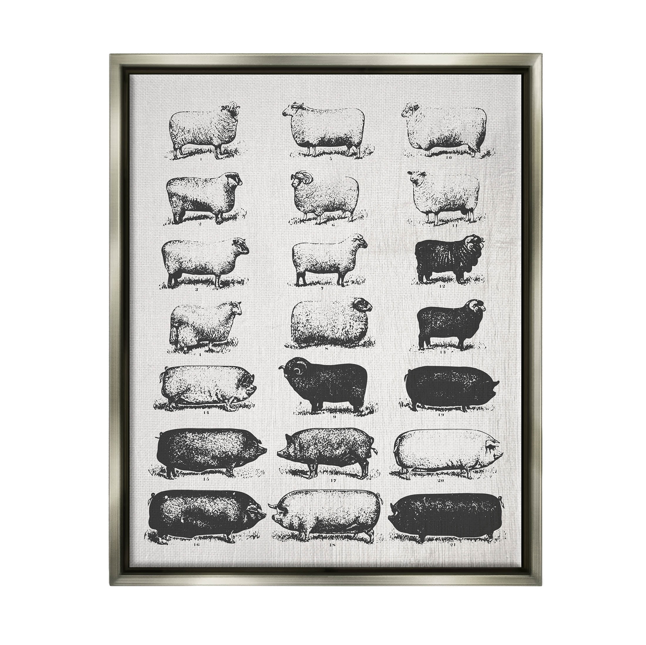 Stupell Industries Vintage Farm Animal Chart Graphic Art Luster Gray Floating Framed Canvas Print Wall Art, Design by Daphne Polselli
