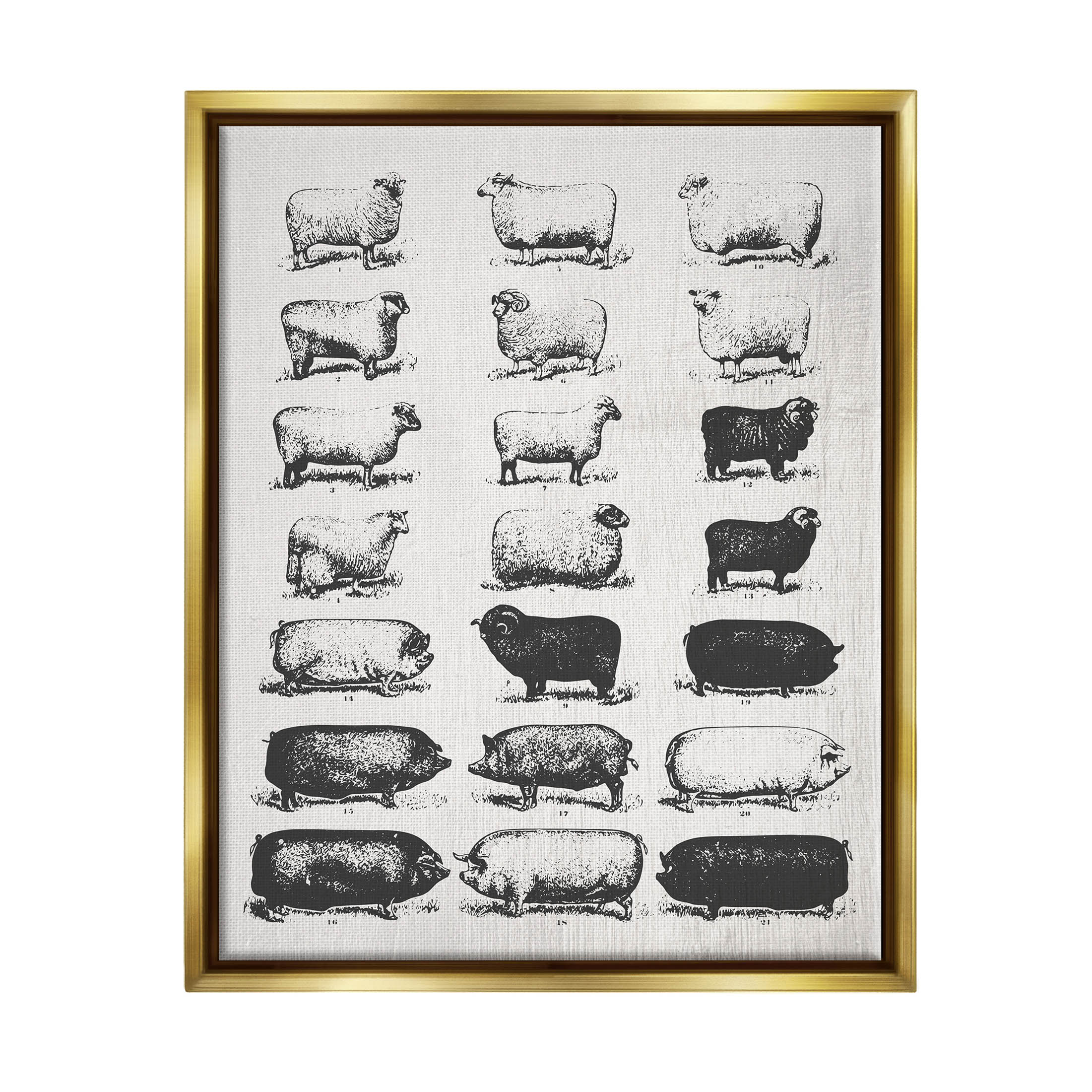Stupell Industries Vintage Farm Animal Chart Graphic Art Metallic Gold Floating Framed Canvas Print Wall Art, Design by Daphne Polselli