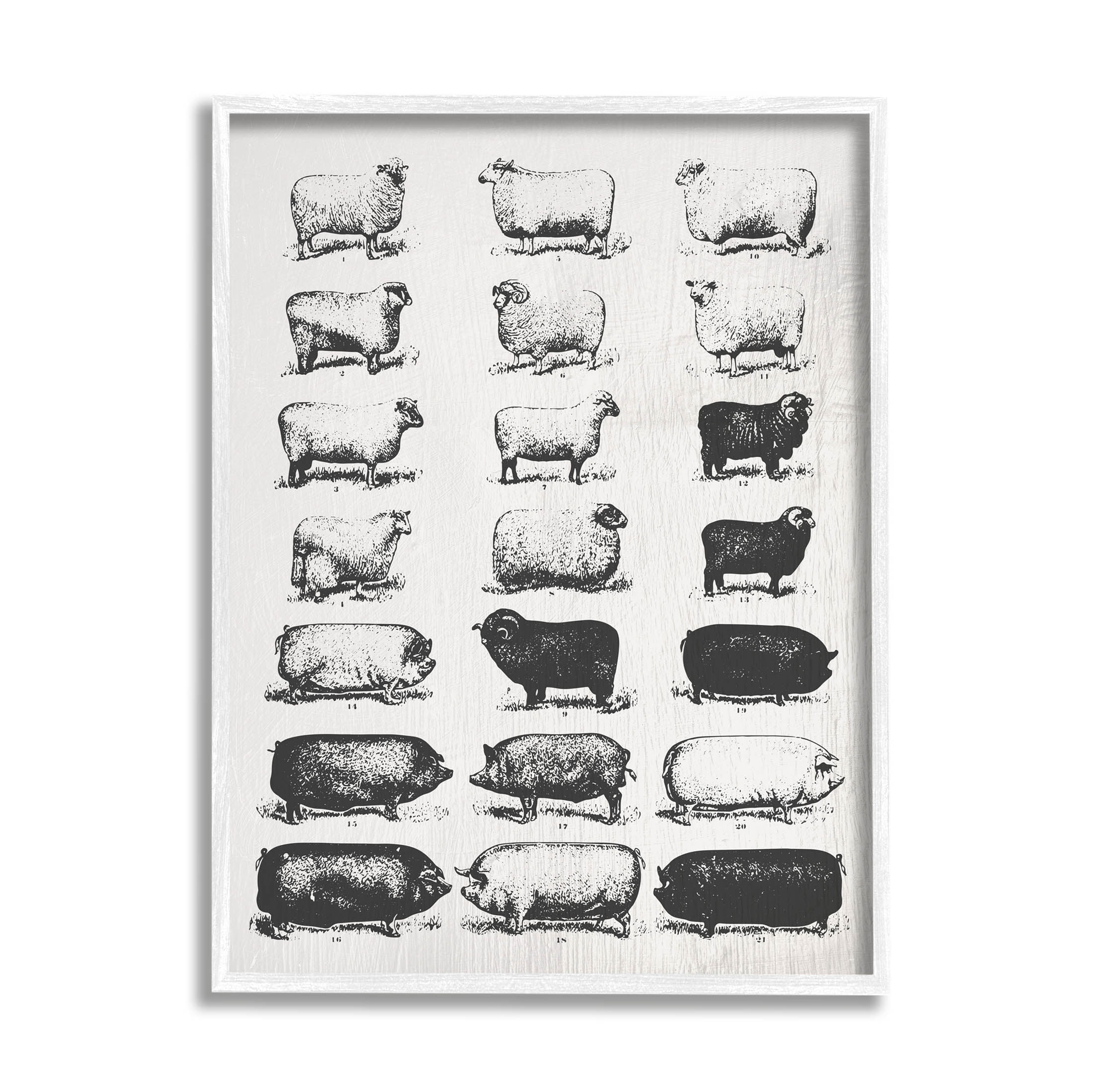 Stupell Industries Vintage Farm Animal Chart Graphic Art White Framed Art Print Wall Art, Design by Daphne Polselli