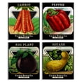 thumbnail image 1 of Stupell Industries Vintage Farm Garden Vegetables Food & Beverage Painting Black Framed Art Print Wall Art, 16 x 20, Set of 4, 1 of 8